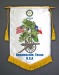 Banners From Around The World